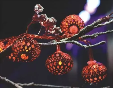 Ghirlanda electrica luminoasa decorativa cu felinar 20 LEDuri rosii cablu transparent WELL - imagine 4